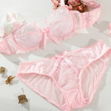 Flirting French Ultra-Thin Lingerie Bras And Panties Set For Women